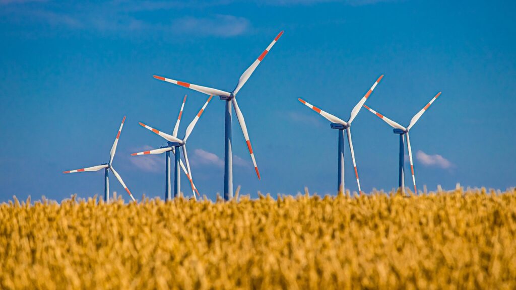Windräder überm Kornfeld