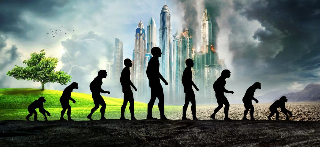 Evolution vom Menschen zum Affe