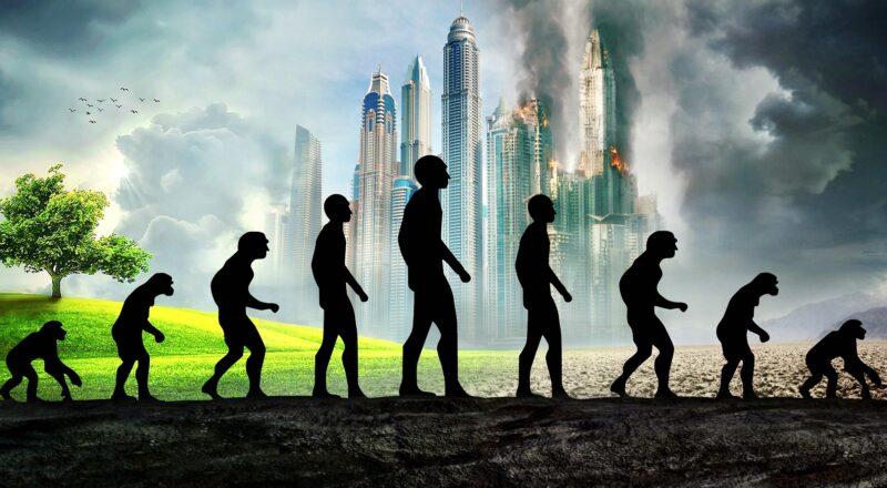 Evolution vom Menschen zum Affe