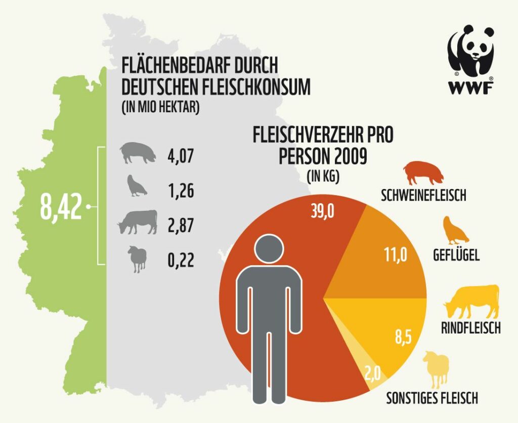 Flächenbedarf durch deutschen Fleischkonsum