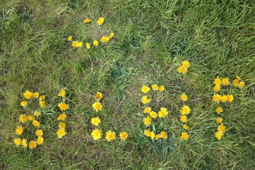 Frühlingsgruß BI LeiF