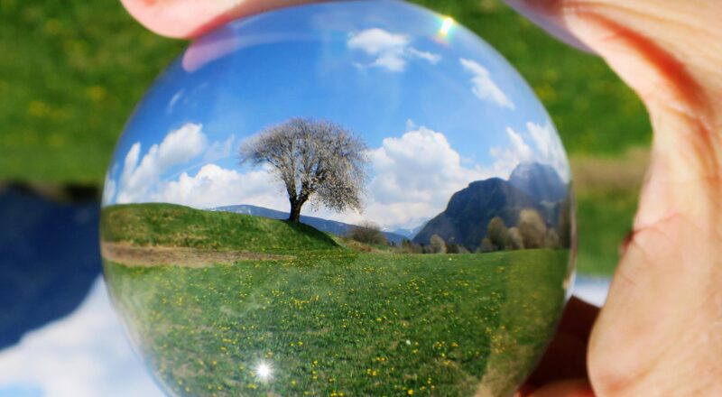 Baum in der Glaskugel, Frühling