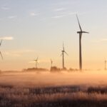 photo of windmills during dawn
