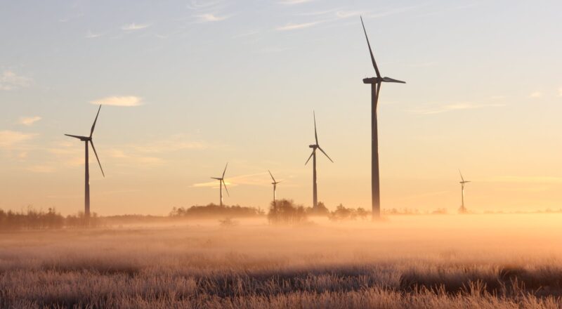 photo of windmills during dawn