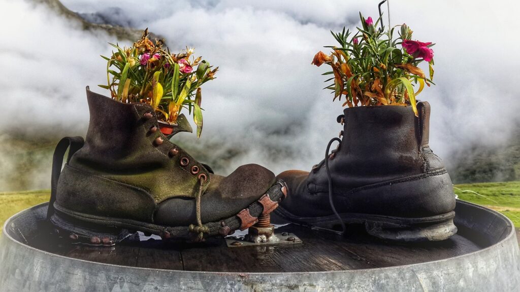 Blumen im Schuh