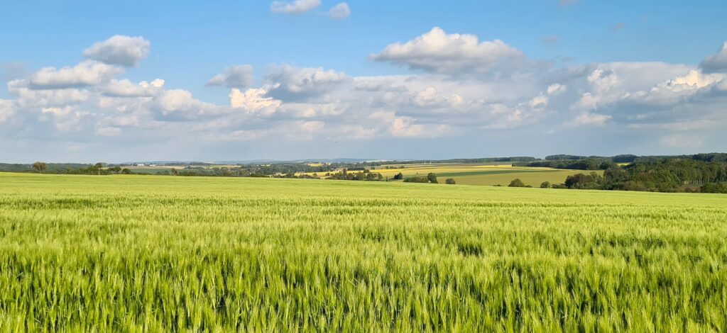 Felderlandschaft