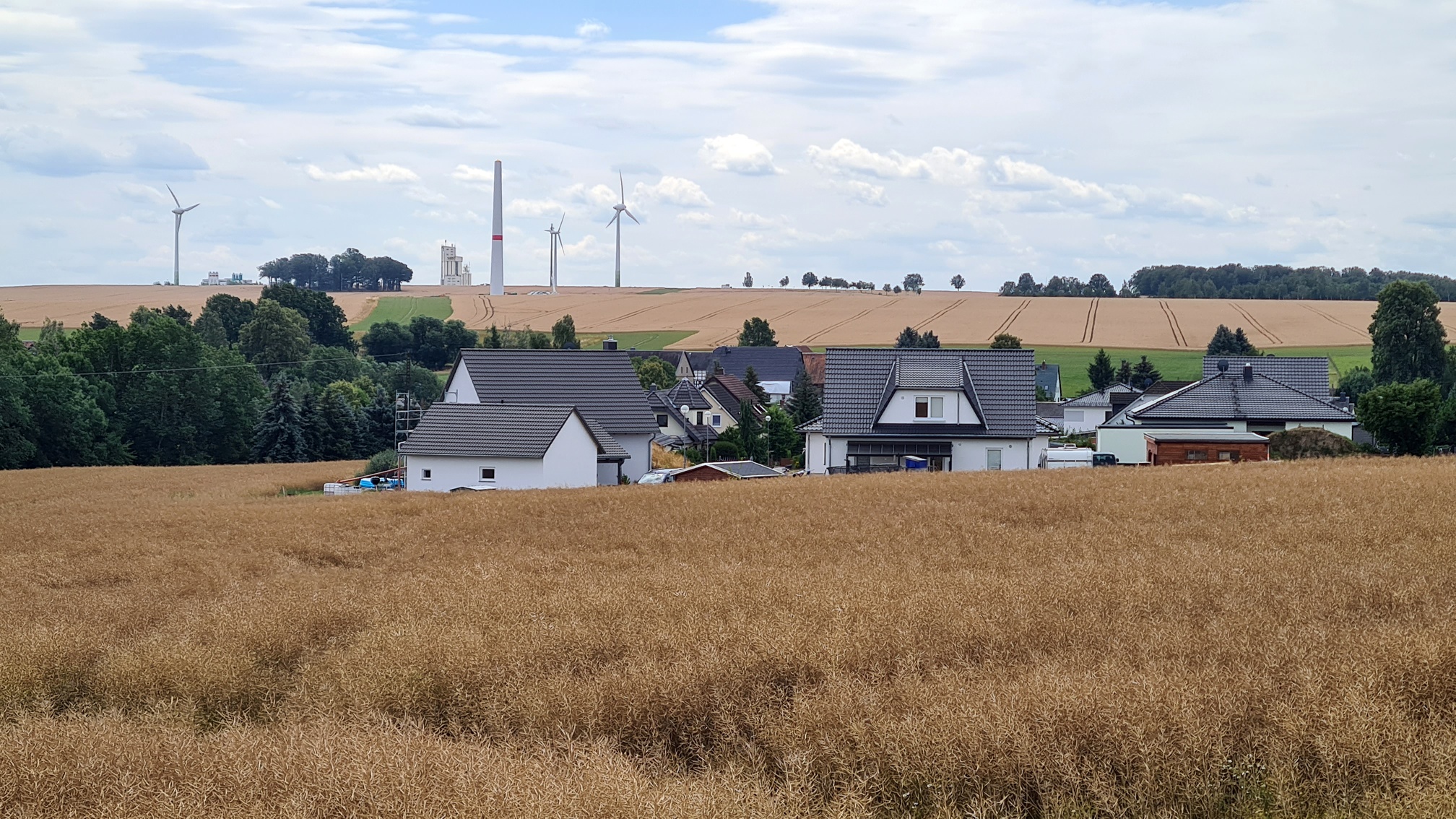 Blick von der Straße Wiederau - Topfseifersdorf